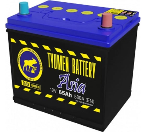 Asia 12V 65Ah 580A EN о.п (TYUMEN BATTERY) ТЮМЕНЬ 26129003
