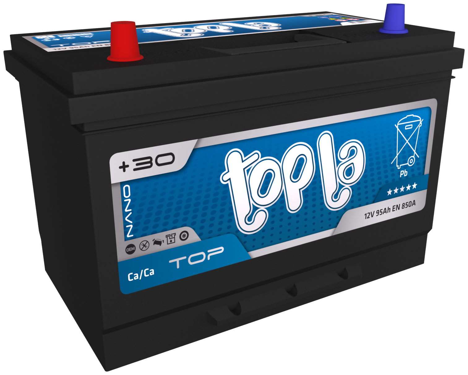 Asia 12v 95Ah 850A EN п.п (TOPLA) 3097057